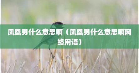 凤凰男什么意思啊（凤凰男什么意思啊网络用语）