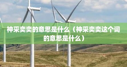 神采奕奕的意思是什么（神采奕奕这个词的意思是什么）
