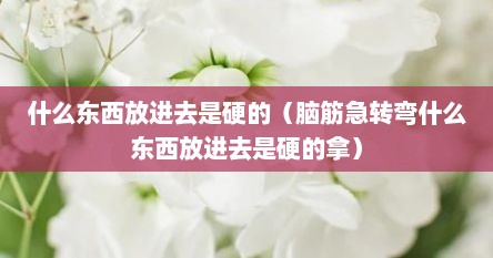 什么东西放进去是硬的（脑筋急转弯什么东西放进去是硬的拿）