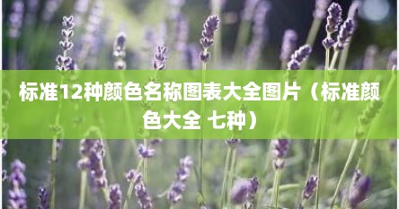 标准12种颜色名称图表大全图片（标准颜色大全 七种）