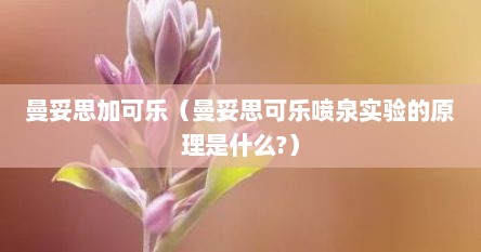 曼妥思加可乐（曼妥思可乐喷泉实验的原理是什么?）