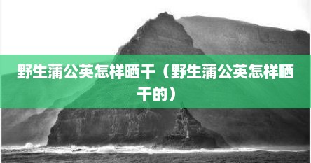 野生蒲公英怎样晒干（野生蒲公英怎样晒干的）