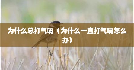 为什么总打气嗝（为什么一直打气嗝怎么办）