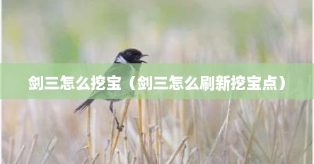 剑三怎么挖宝（剑三怎么刷新挖宝点）