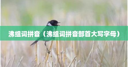 沸组词拼音（沸组词拼音部首大写字母）