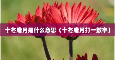 十冬腊月是什么意思（十冬腊月打一数字）