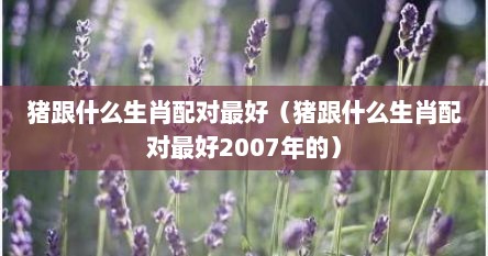 猪跟什么生肖配对最好（猪跟什么生肖配对最好2007年的）
