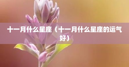 十一月什么星座（十一月什么星座的运气好）