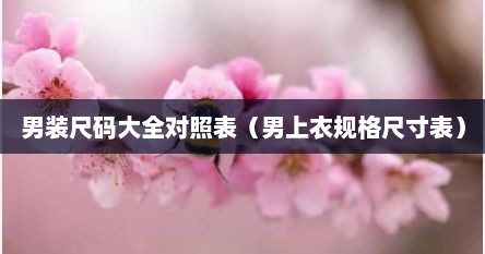 男装尺码大全对照表（男上衣规格尺寸表）