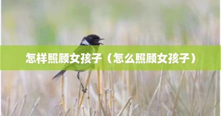 怎样照顾女孩子（怎么照顾女孩子）