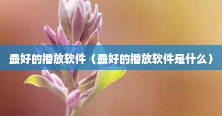 最好的播放软件（最好的播放软件是什么）