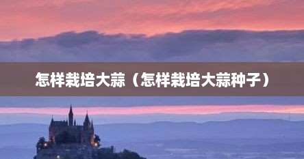 怎样栽培大蒜（怎样栽培大蒜种子）