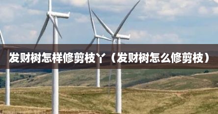 发财树怎样修剪枝丫（发财树怎么修剪枝）