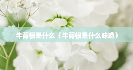 牛蒡根是什么（牛蒡根是什么味道）