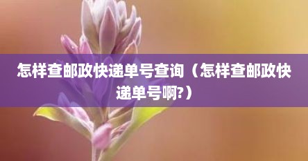 怎样查邮政快递单号查询（怎样查邮政快递单号啊?）