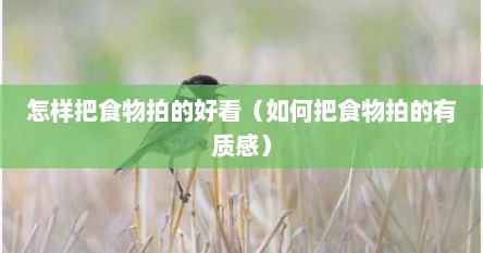 怎样把食物拍的好看（如何把食物拍的有质感）