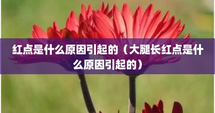 红点是什么原因引起的（大腿长红点是什么原因引起的）