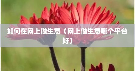 如何在网上做生意（网上做生意哪个平台好）