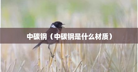 中碳钢（中碳钢是什么材质）