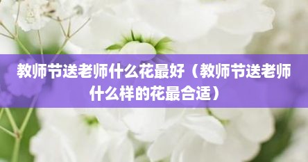 教师节送老师什么花最好（教师节送老师什么样的花最合适）
