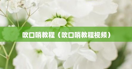吹口哨教程（吹口哨教程视频）