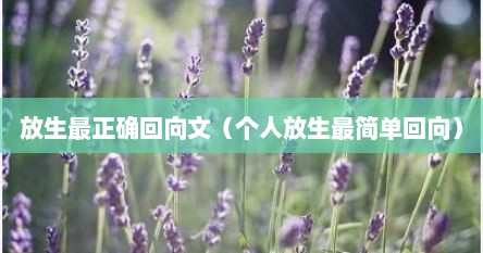 放生最正确回向文(个人放生最简单回向)