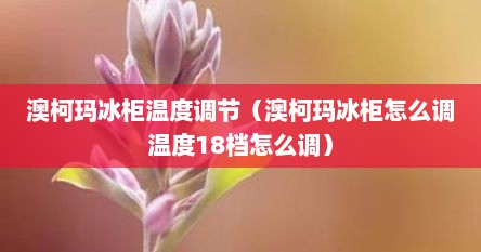 澳柯玛冰柜温度调节（澳柯玛冰柜怎么调温度18档怎么调）