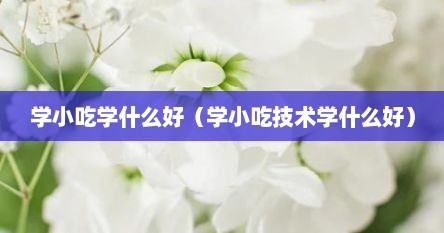 学小吃学什么好（学小吃技术学什么好）