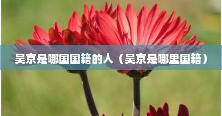 吴京是哪国国籍的人（吴京是哪里国籍）