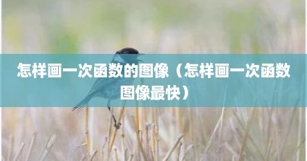 怎样画一次函数的图像（怎样画一次函数图像最快）