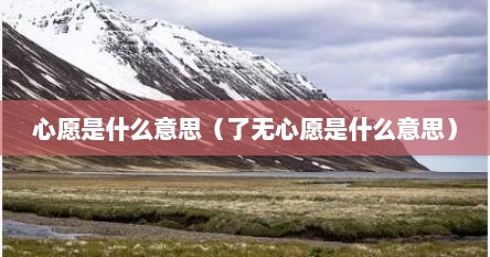 心愿是什么意思（了无心愿是什么意思）