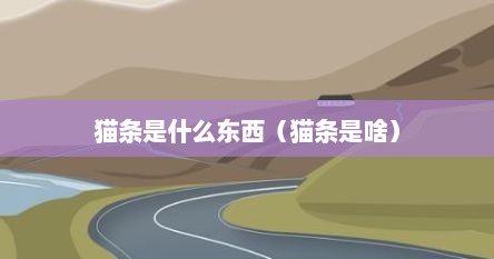 猫条是什么东西（猫条是啥）