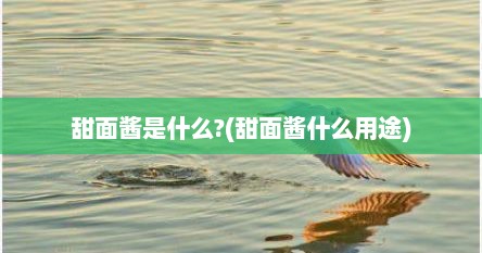 甜面酱是什么?(甜面酱什么用途)