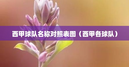 西甲球队名称对照表图（西甲各球队）