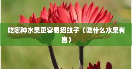 吃哪种水果更容易招蚊子（吃什么水果有害）