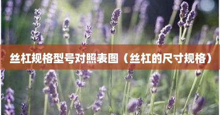 丝杠规格型号对照表图（丝杠的尺寸规格）