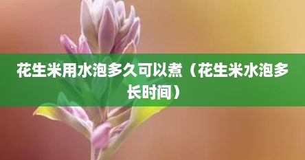 花生米用水泡多久可以煮（花生米水泡多长时间）