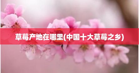 草莓产地在哪里(中国十大草莓之乡)