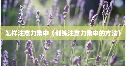 怎样注意力集中（训练注意力集中的方法）
