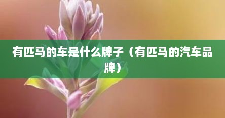 有匹马的车是什么牌子（有匹马的汽车品牌）