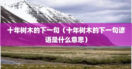 十年树木的下一句（十年树木的下一句谚语是什么意思）