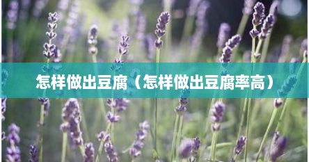 怎样做出豆腐（怎样做出豆腐率高）