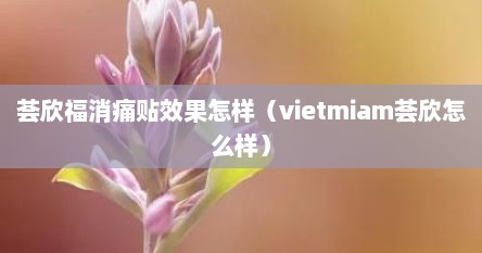 荟欣福消痛贴效果怎样（vietmiam荟欣怎么样）
