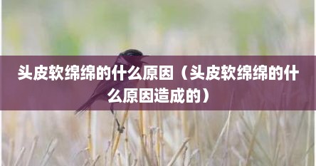 头皮软绵绵的什么原因（头皮软绵绵的什么原因造成的）