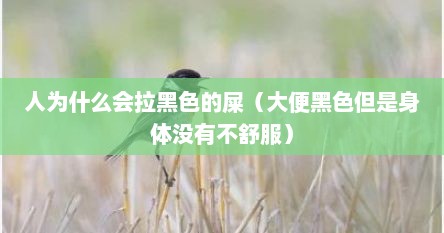 人为什么会拉黑色的屎（大便黑色但是身体没有不舒服）