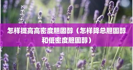 怎样提高高密度胆固醇（怎样降总胆固醇和低密度胆固醇）