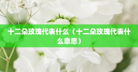 十二朵玫瑰代表什么（十二朵玫瑰代表什么意思）