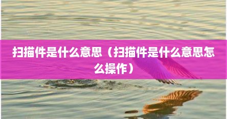 扫描件是什么意思（扫描件是什么意思怎么操作）