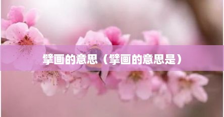 擘画的意思（擘画的意思是）