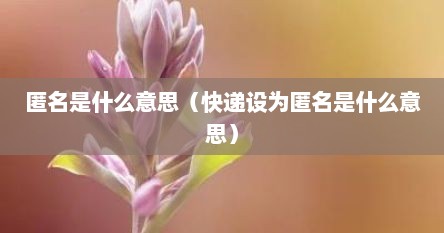 匿名是什么意思（快递设为匿名是什么意思）